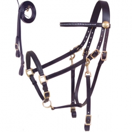 Bridle