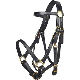 Bridle
