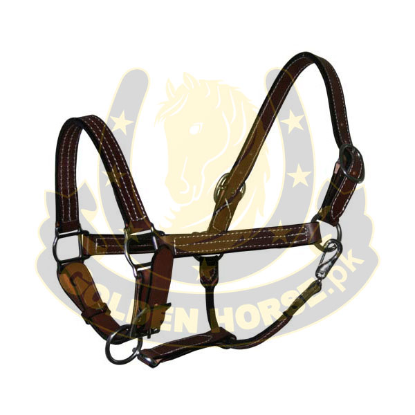 Rope Halter