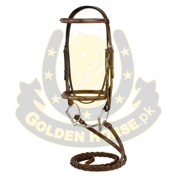 Spanish Bridle