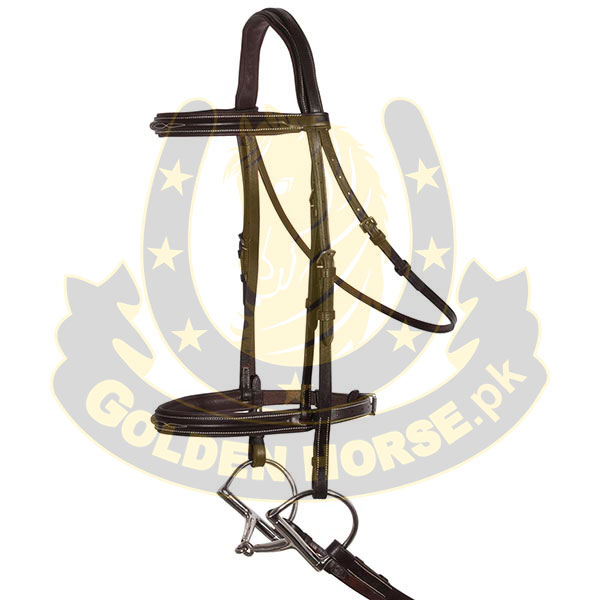 Spanish Bridle