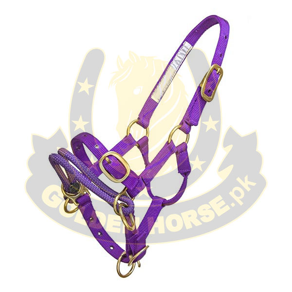 Spanish Bridle