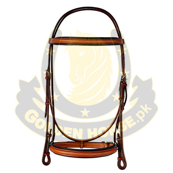 Spanish Bridle
