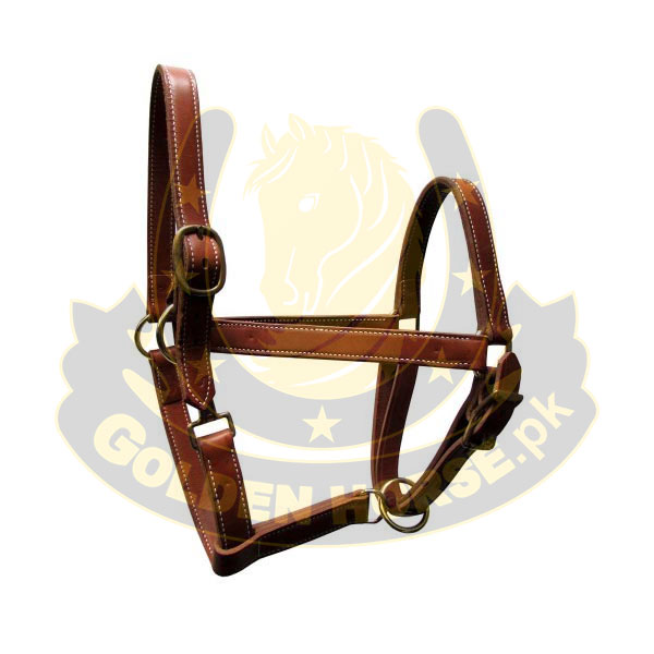 Spanish Bridle