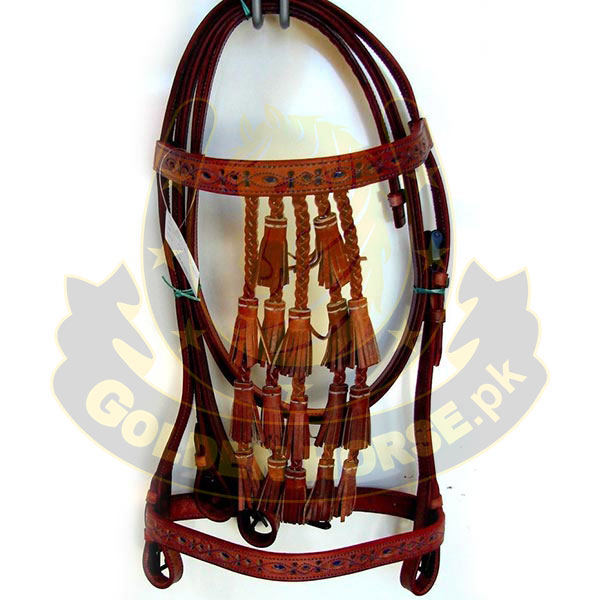 Spanish Bridle