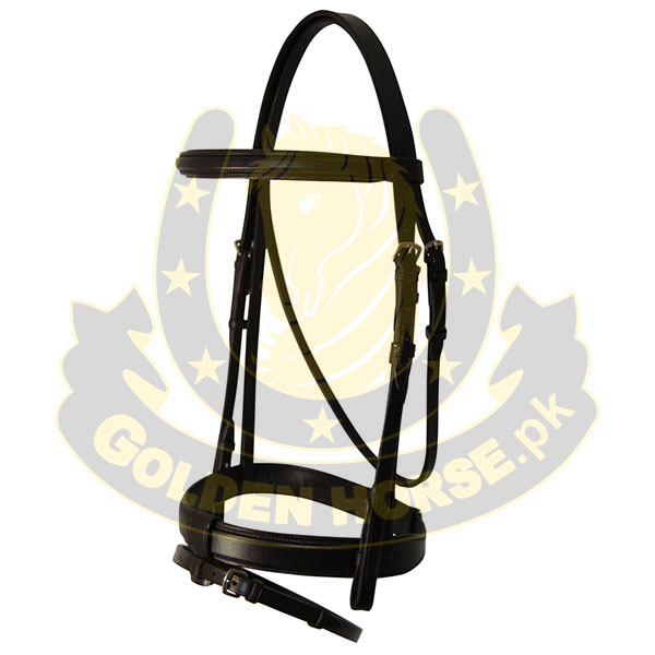 Spanish Bridle